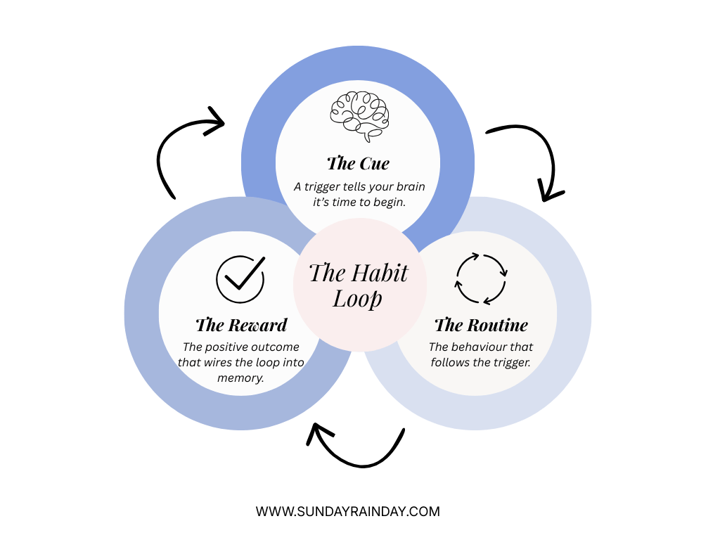 Diagram of the habit loop framework: Cue, Routine, and Reward, showing how neurological pathways are formed through repetitive behaviors.