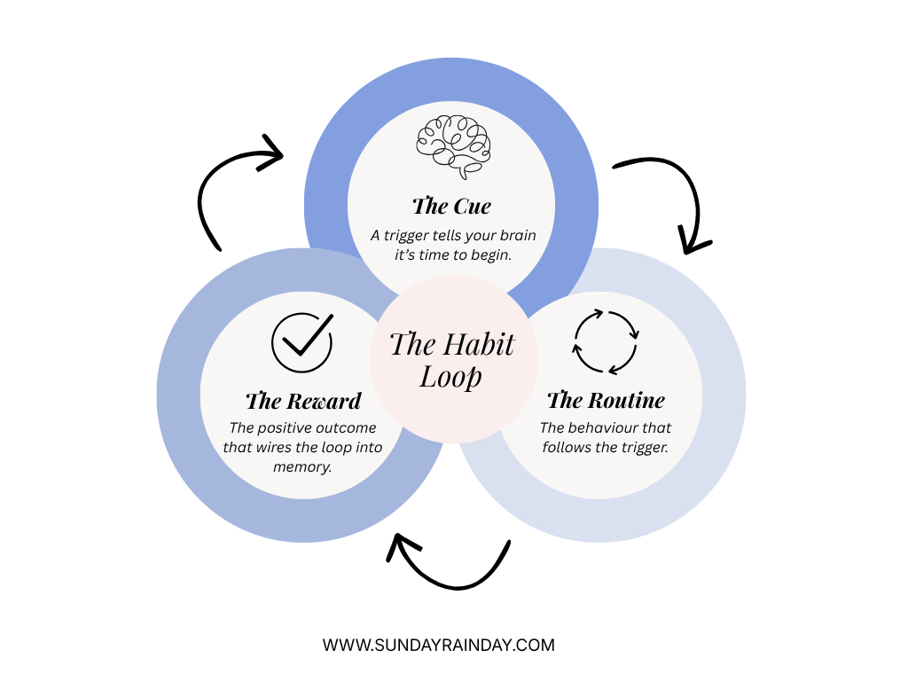 Diagram of the habit loop framework: Cue, Routine, and Reward, showing how neurological pathways are formed through repetitive behaviors.