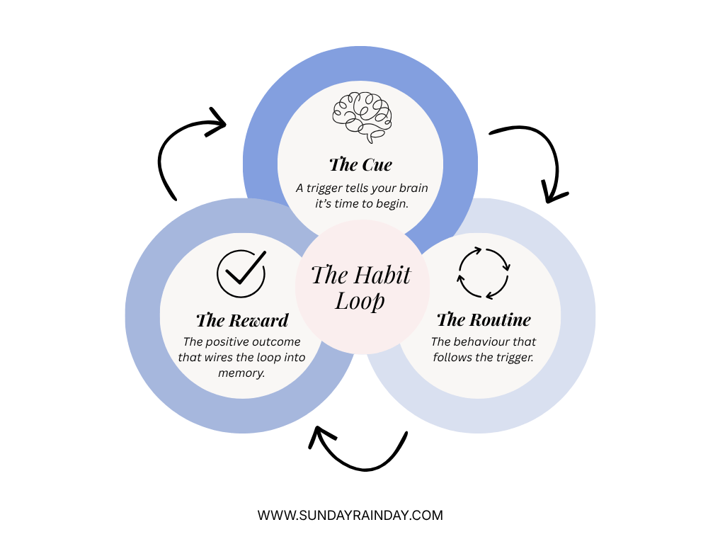 The habit loop diagram showing the three stages of building discipline: the cue, the routine, and the reward
