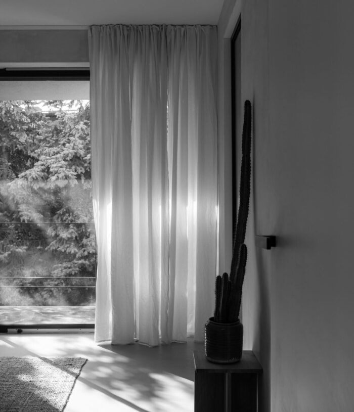 Black and white photo of morning light through linen curtains in a quiet room with a tall cactus on a wooden stool, for the Discipline and Consistency section